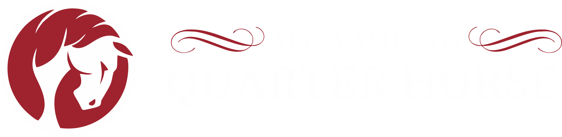 Allevamento Quarter Horse
